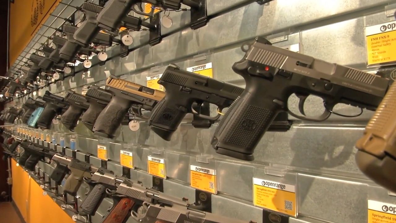 A row of guns. (Spectrum News 1/File)