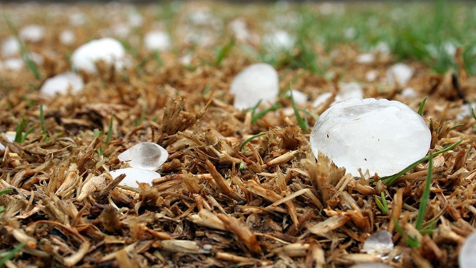 Project Weather School: How Frost Forms