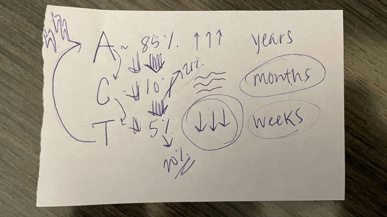 Dr. Jennifer Gordon visually explains the phases of hair growth. (Spectrum News 1/Charlotte Scott)