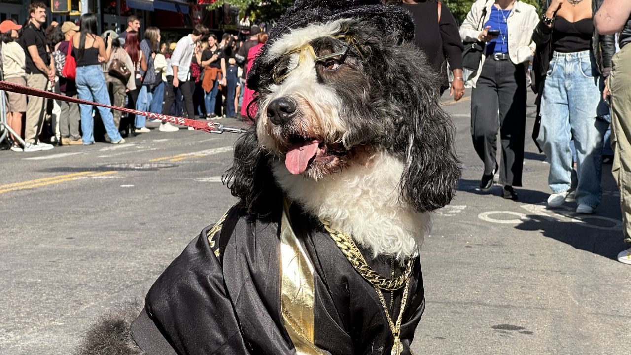 Halloween Dog Parade