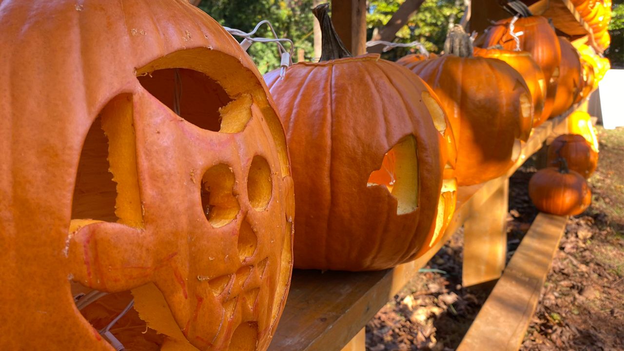 Your ultimate Wisconsin trickortreating guide