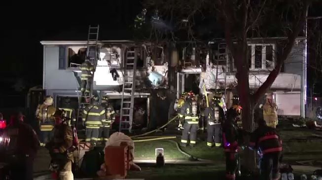 Dog Credited With Waking Up Woman After Fire Starts in Hamburg Home