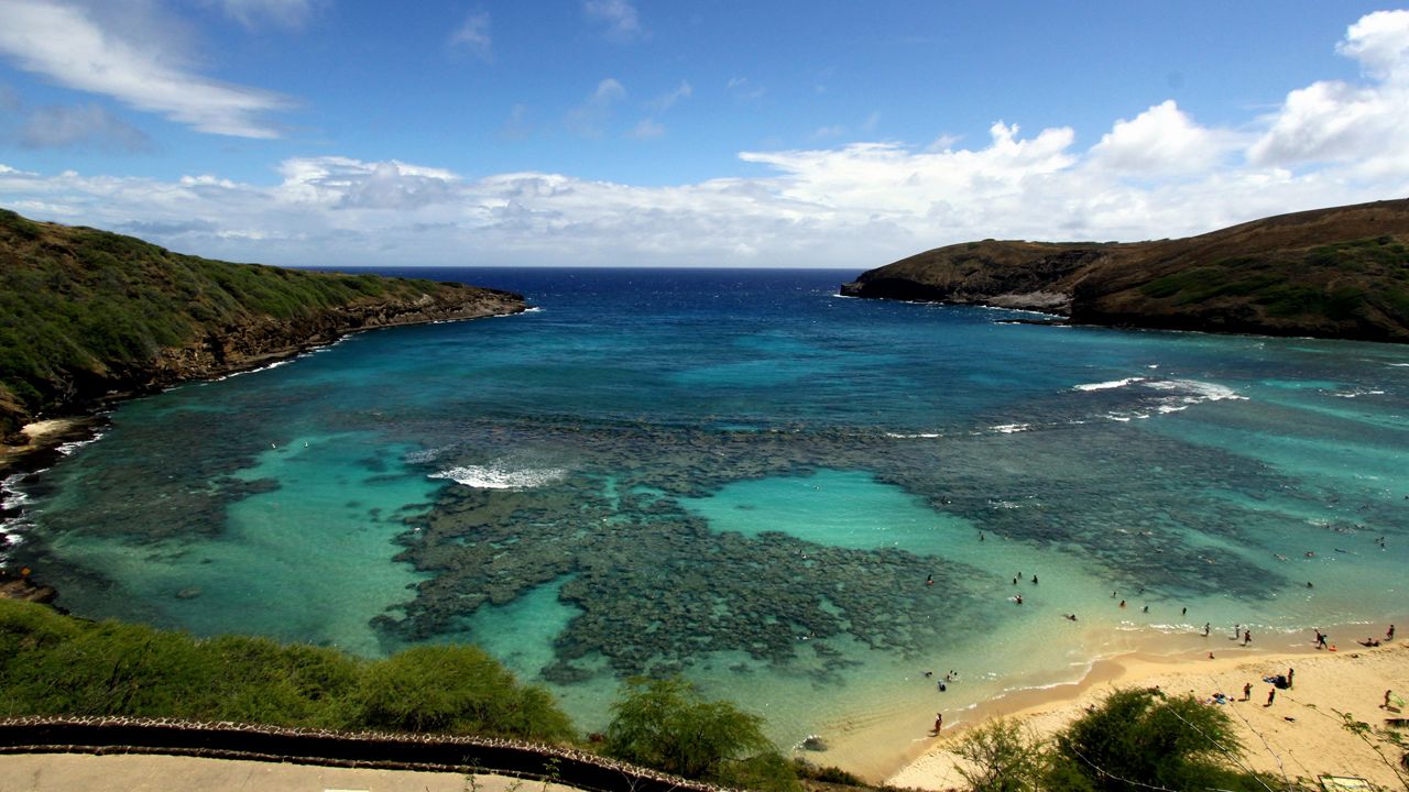 Hanauma Bay Parking Lot - Hanauma Bay State Park