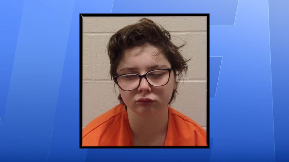 Greece Teen Being Extradited to NY After Murder Arrest - Vimarsana News