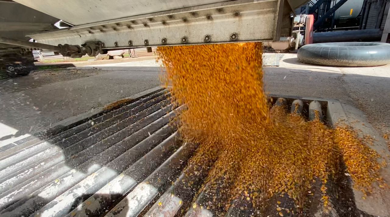 Wisconsin harvest off to brisk start - Vimarsana News