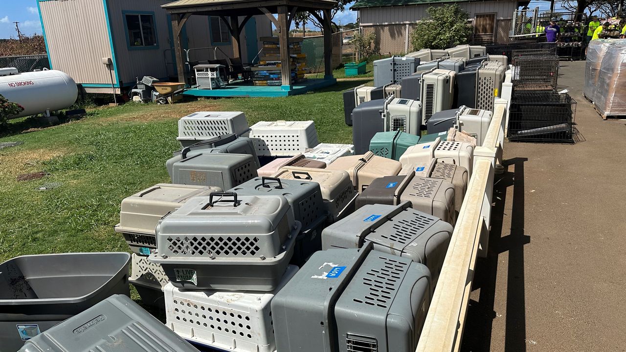 This photo provided by Maui Humane Society released on the week of Aug. 9, 2023, pet carriers are stacked outside the Maui Humane Society in Lahaina, Hawaii.  The Maui Humane Society is treating dogs, cats, chickens, pigs and other animals that were badly burned while fleeing the wildfires.  (Katie Shannon/Maui Humane Society via AP)