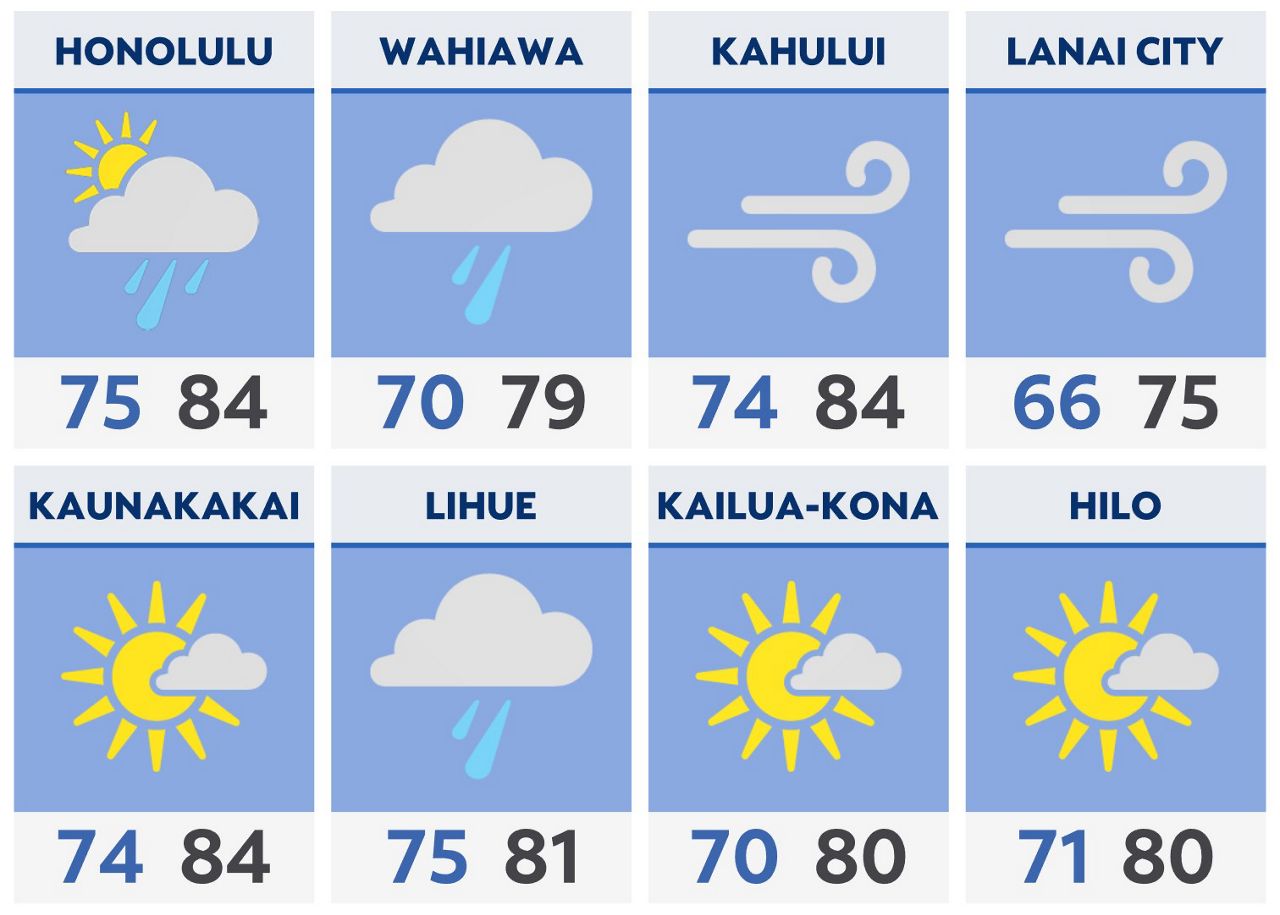 Hawaii Evening Briefing Nov. 5, 2024