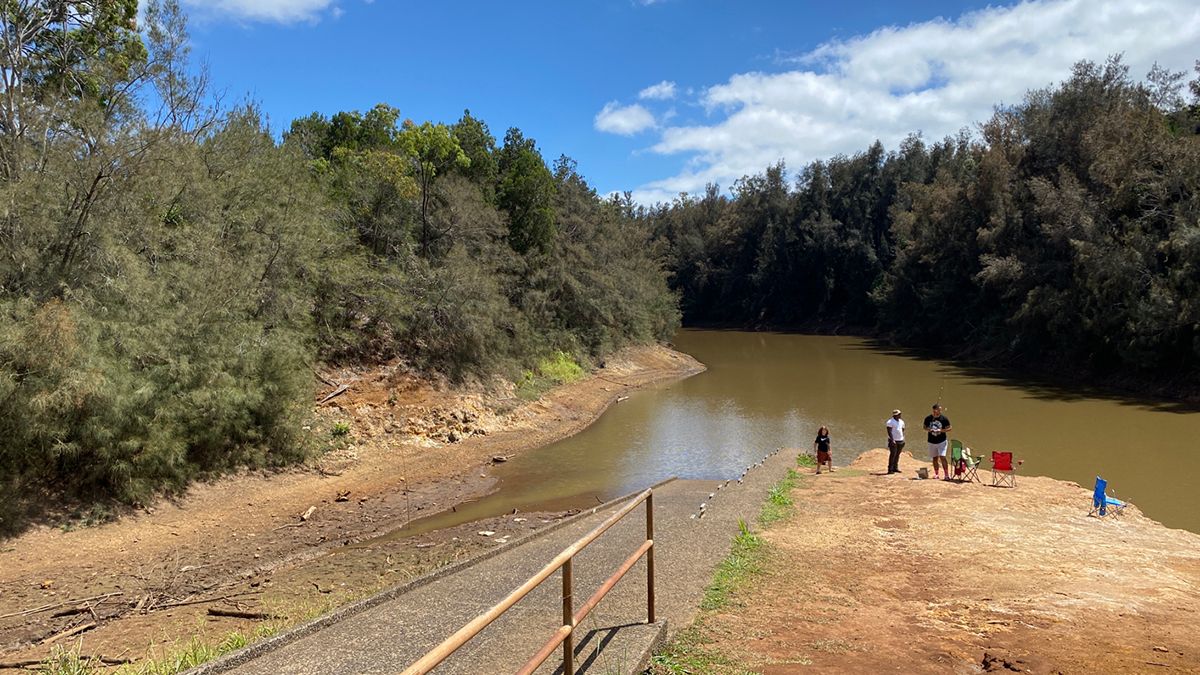 Wahiawa's Lake Wilson seen here has been below normal levels for months. The Board of Water Supply is asking everyone to reduce water use by 10% to prepare for Hawaii's dry summer months. (Spectrum News/Sarah Yamanaka)