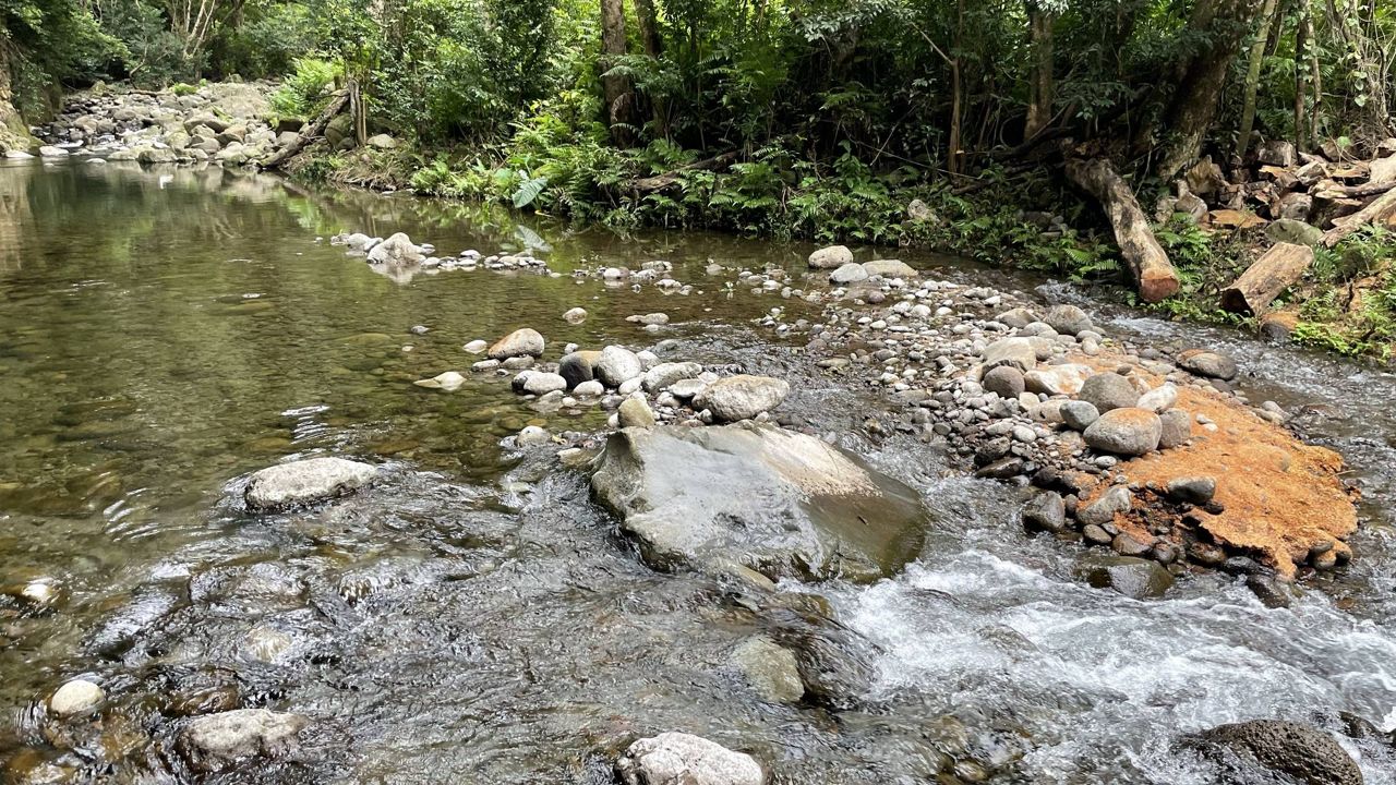 Honokohau Stream on Maui. (Credit: Department of Land and Natural Resources) 