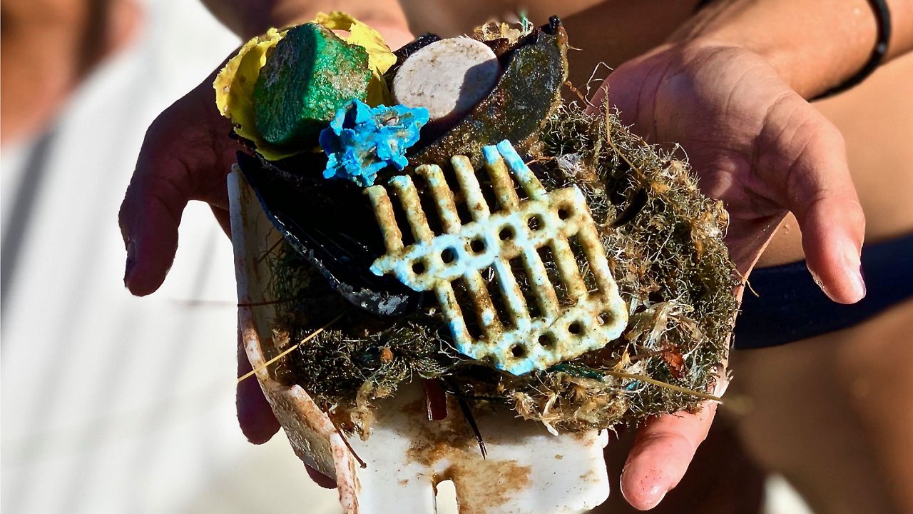 Trash found near Molokini Crater, Maui (Getty Images/Ann Schwede)