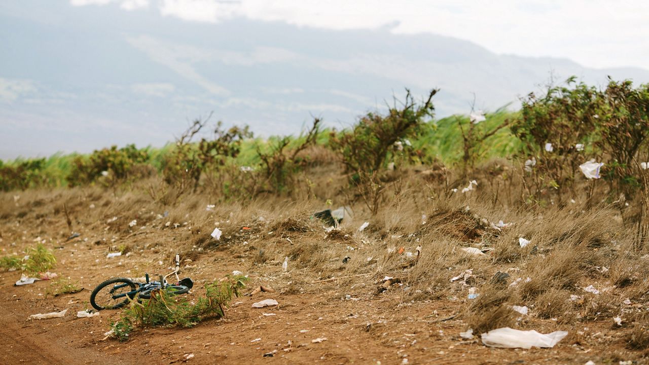 Trash litters a sugarcane field outside the Central Maui Landfill (Getty Image/Doisneau)