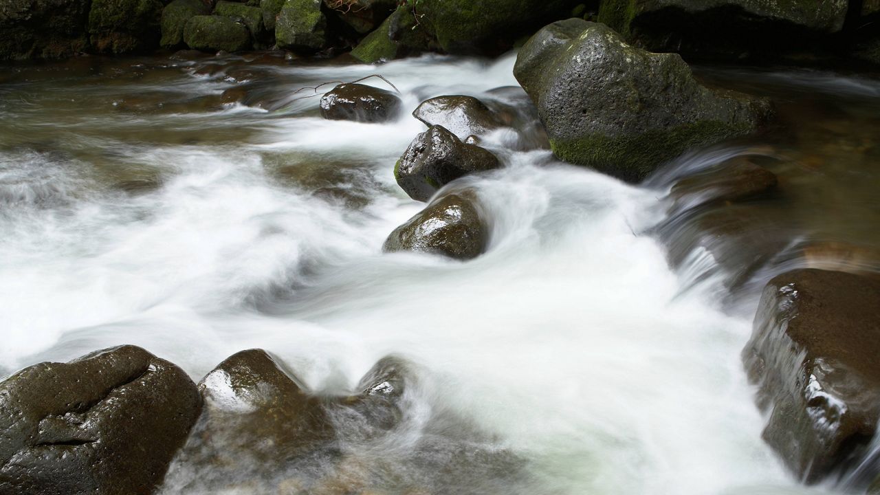 A stream flows on Maui. (Courtesy Getty Images/Raimund Koch)