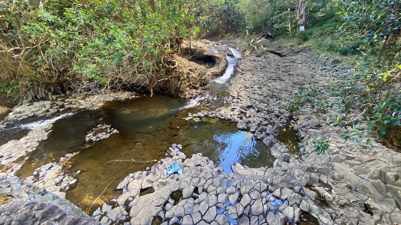 An East Maui stream. (Photo courtesy of Sierra Club of Hawaii)