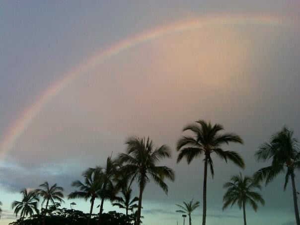 Chasing rainbows in Hawaii