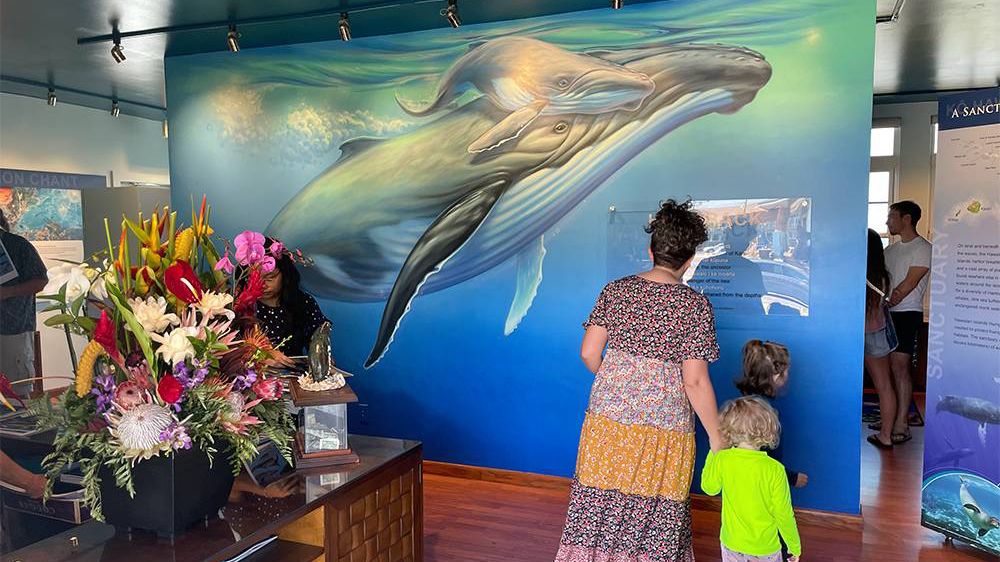 A full redesign and new interactive exhibits greets visitors at the Sanctuary Visitor Center in Kihei. (NOAA/Matt McIntosh)