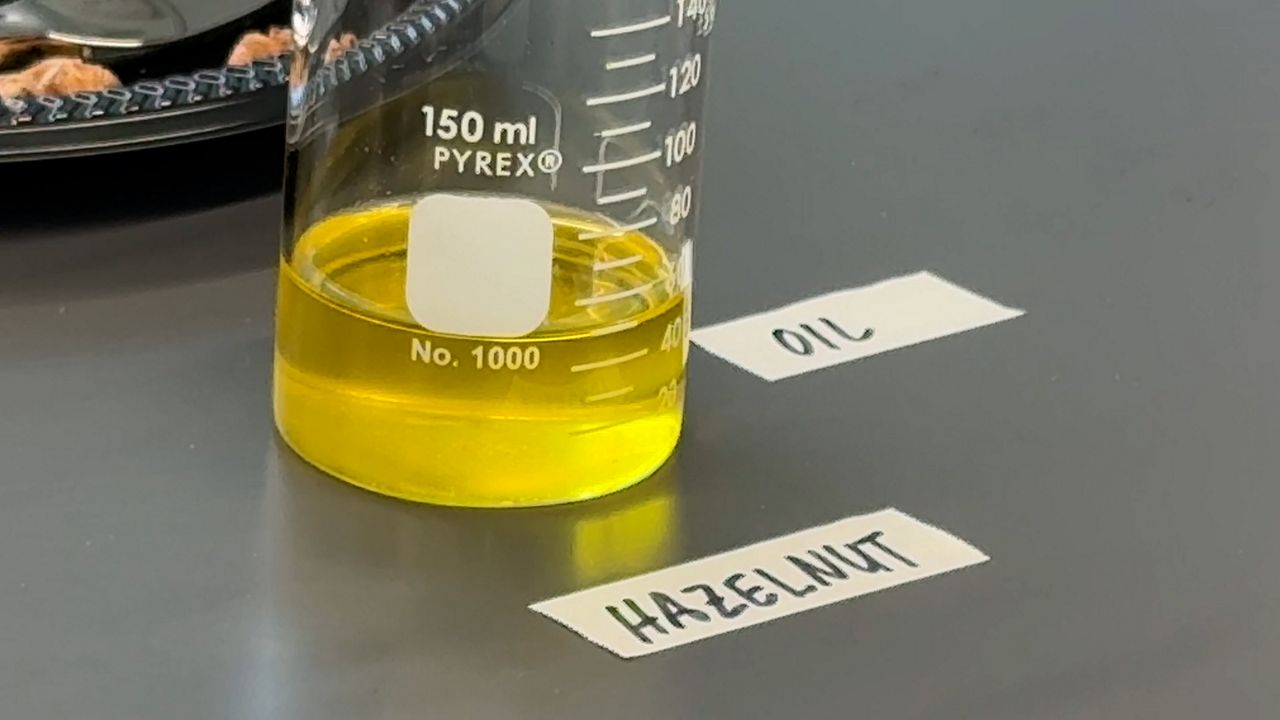 New York studying the many alternatives to petroleum diesel