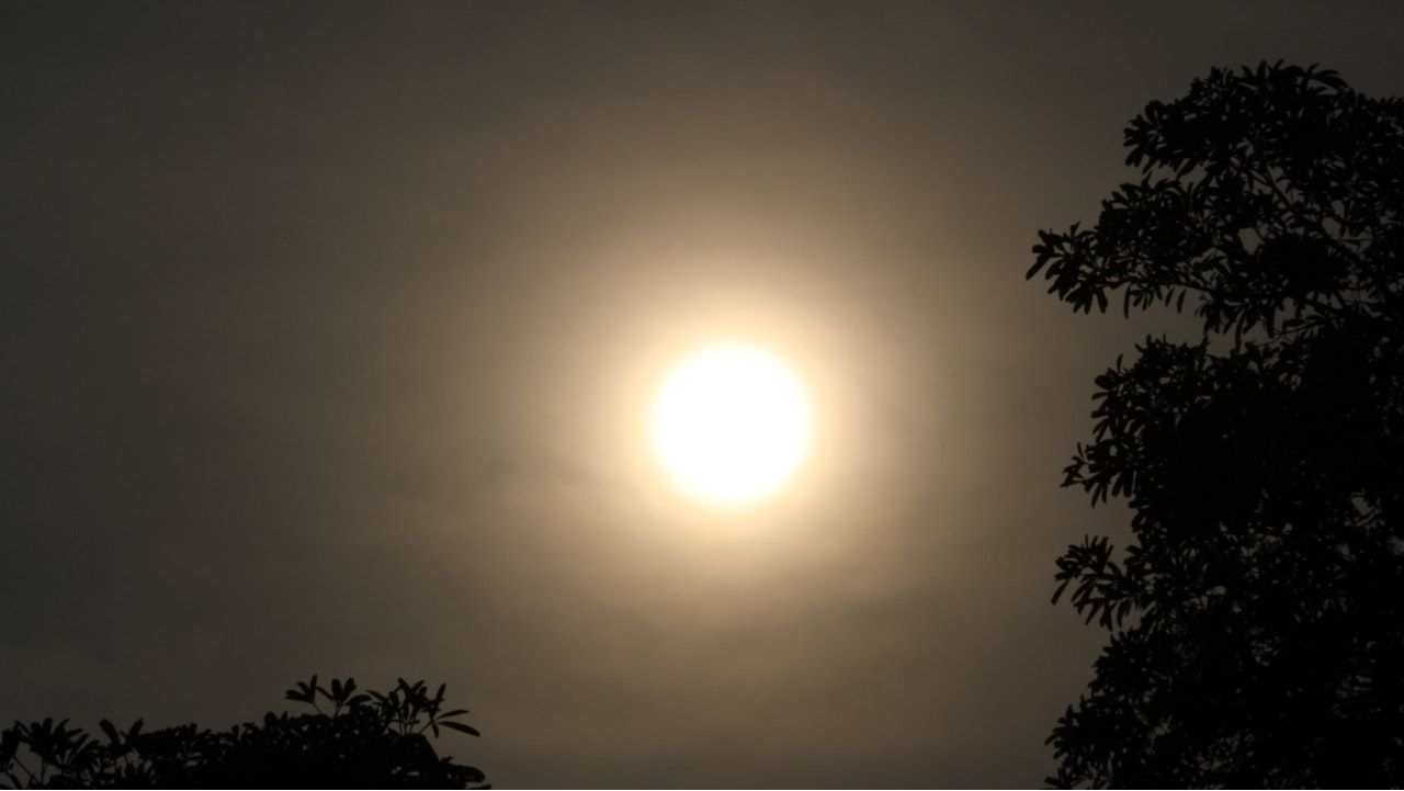 Hazy sunshine.