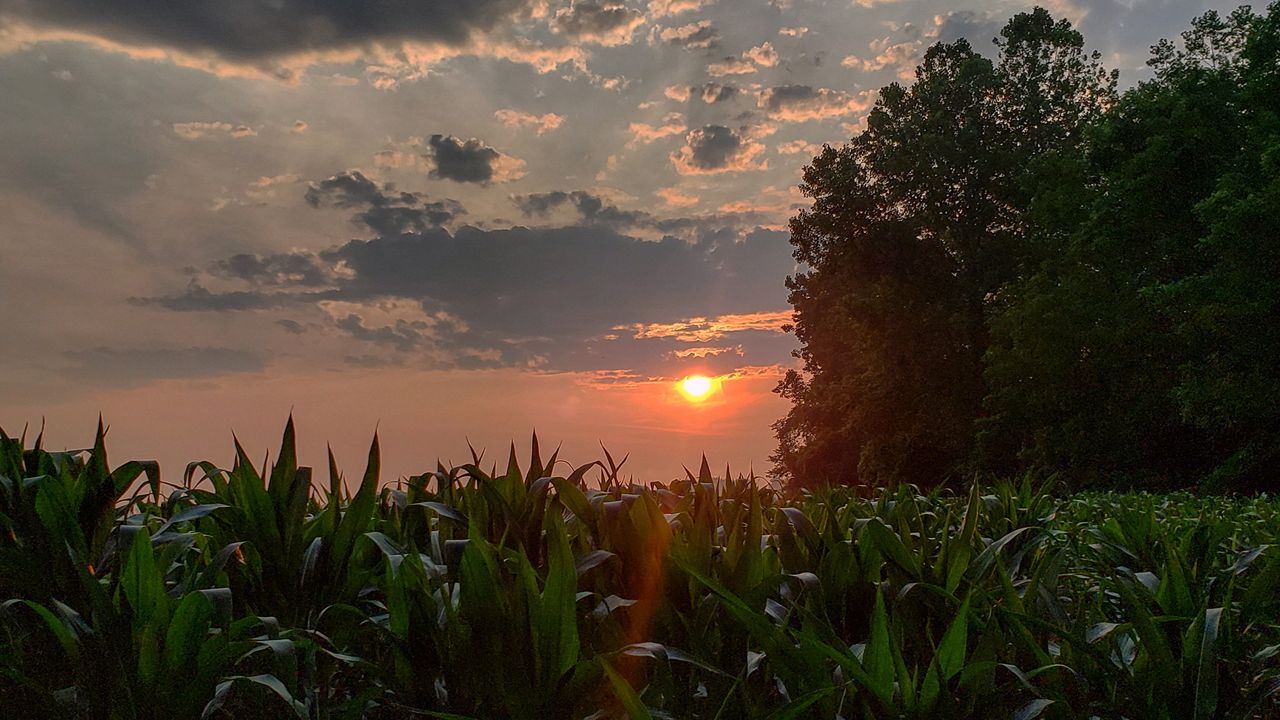 Here's how this summer's weather went in Ohio