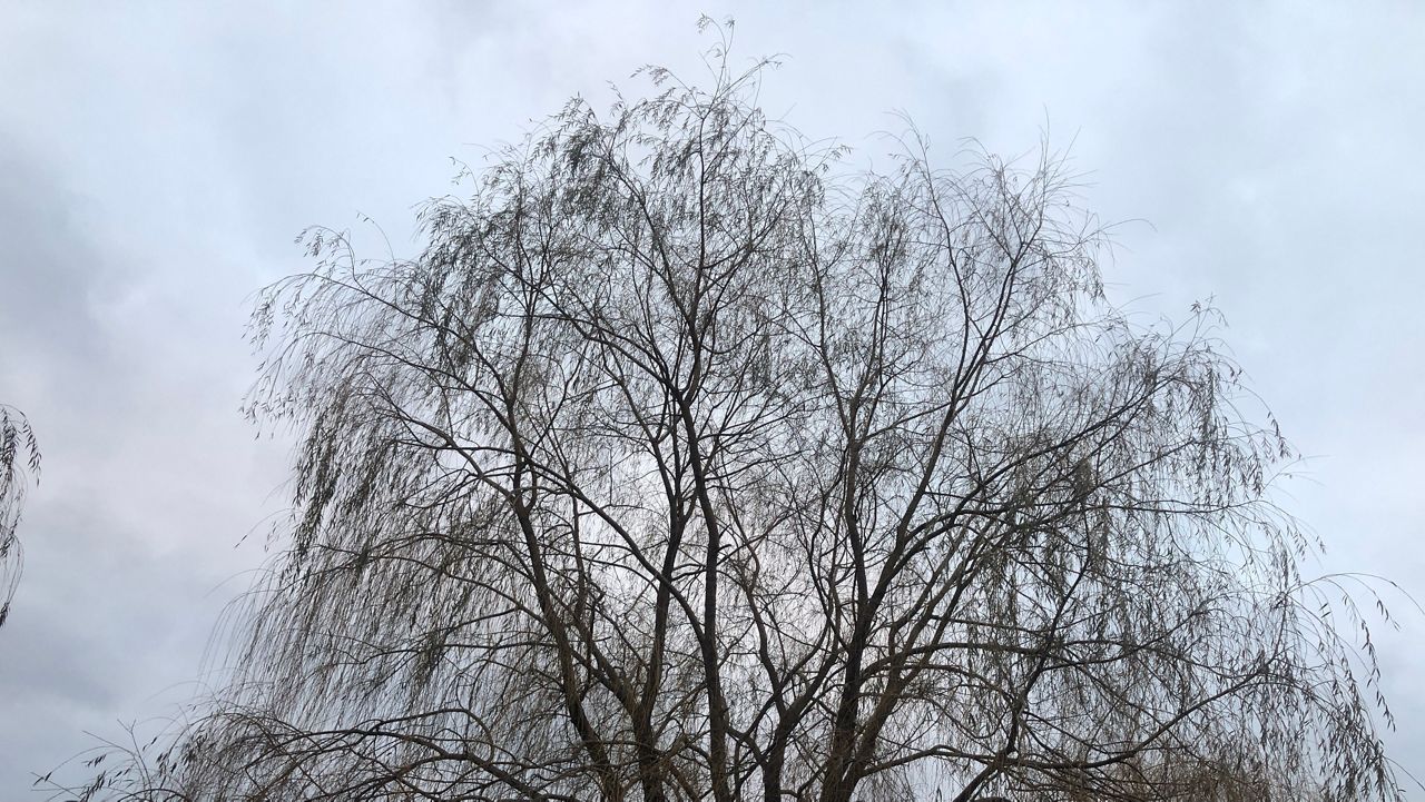 winter cloudy