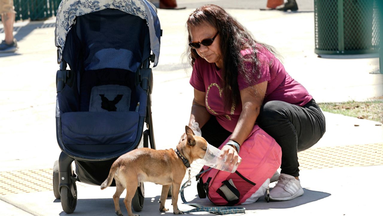 Sylvia Lynn gives her dog Bear a cooling drink of water in Sacramento, Calif., Monday, Aug. 15, 2022. Temperatures in California's capital crossed over 100-degrees on Monday. (AP Photo/Rich Pedroncelli)