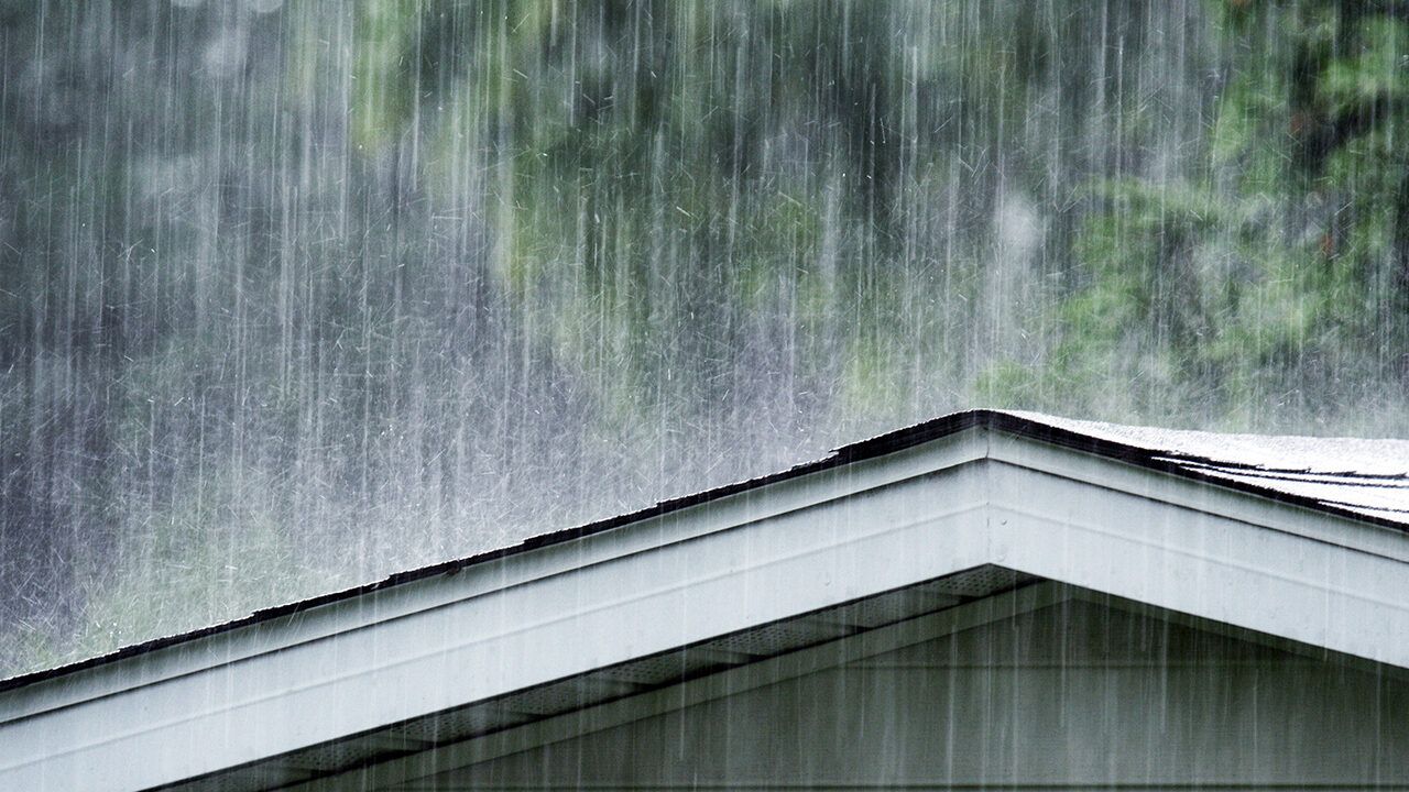 national forecast