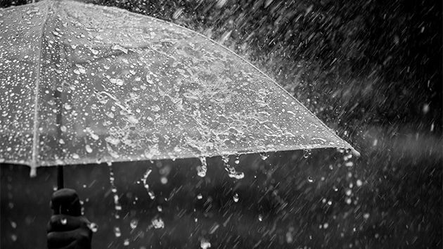 Heavy rain falling on an umbrella (file)