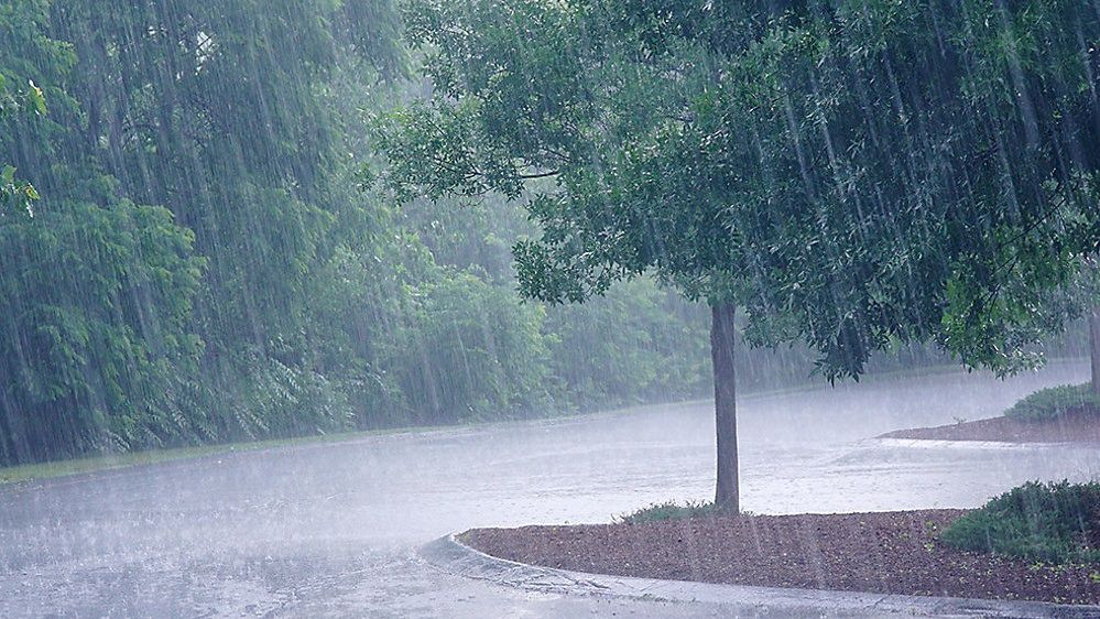 Heavy rain leads to flooding in the Triangle Thursday