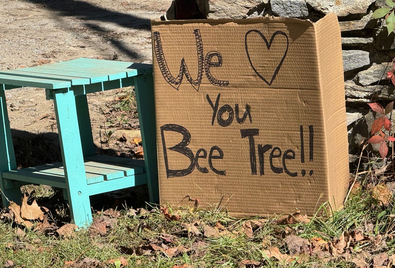 The Swannanoa community of Bee Tree was hit hard by Hurricane Helene last month. (Spectrum News 1/Justin Quesinberry)