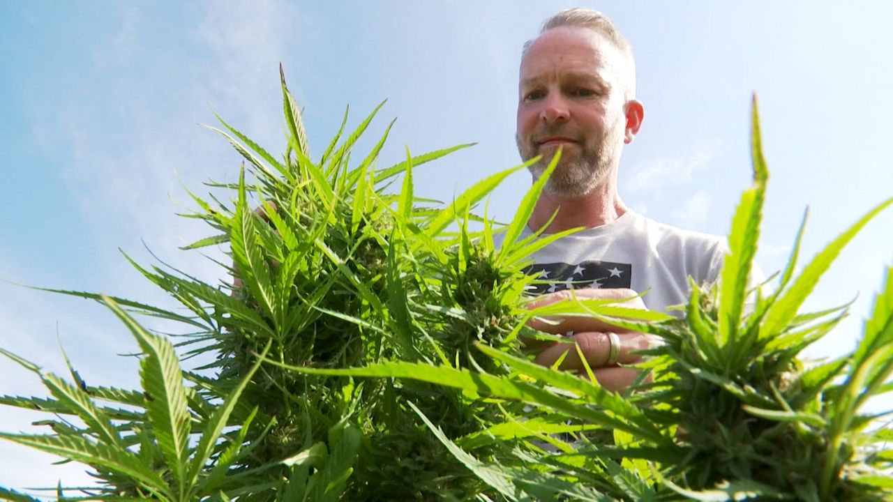 2020 Kentucky Hemp Application Program Starts Soon