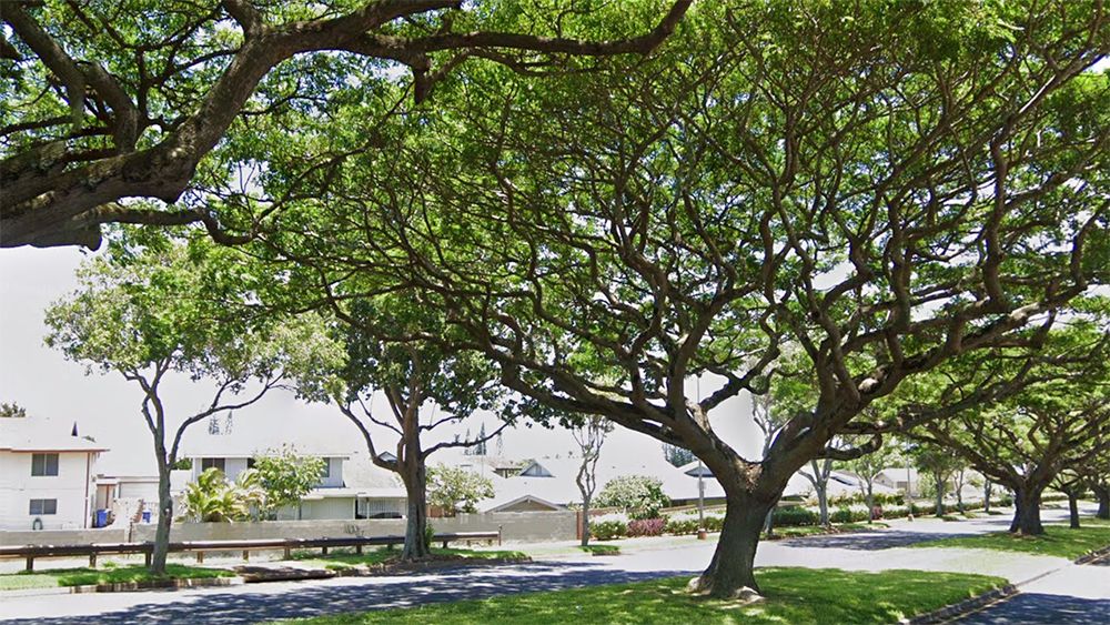 The City and County of Honolulu reminds homeowners to file for a tax exemption by Sept. 30, 2022. (Google Street View)