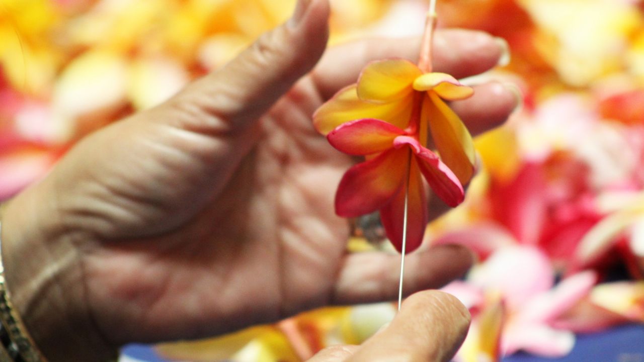Maui residents are asked to help make fresh lei for the Memorial Day ceremony at the National Memorial Cemetery of the Pacific. Lei should measure 20-24 inches in length and be tied when dropped off. (Honolulu Department of Parks and Recreation)