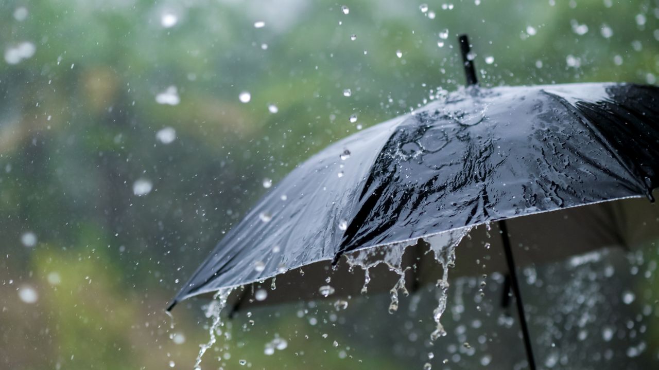 Rain on an umbrella