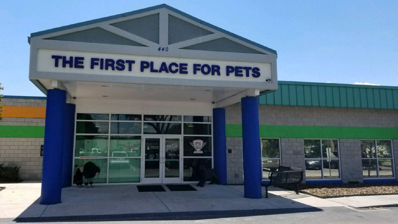 The Hillsborough County Pet Resource Center is reaching its limit for the number of pets they can shelter. (Spectrum News)
