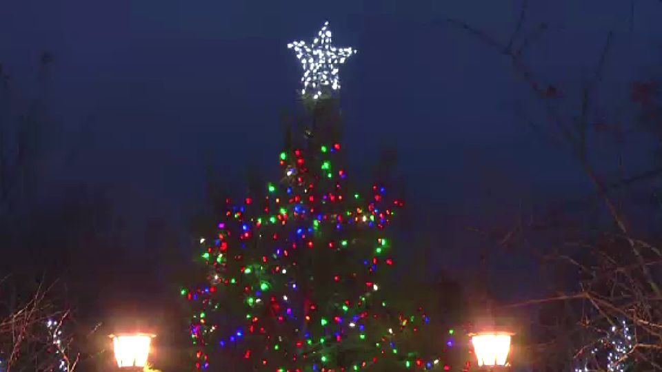 Holiday lights return to Thomas Bull Memorial Park