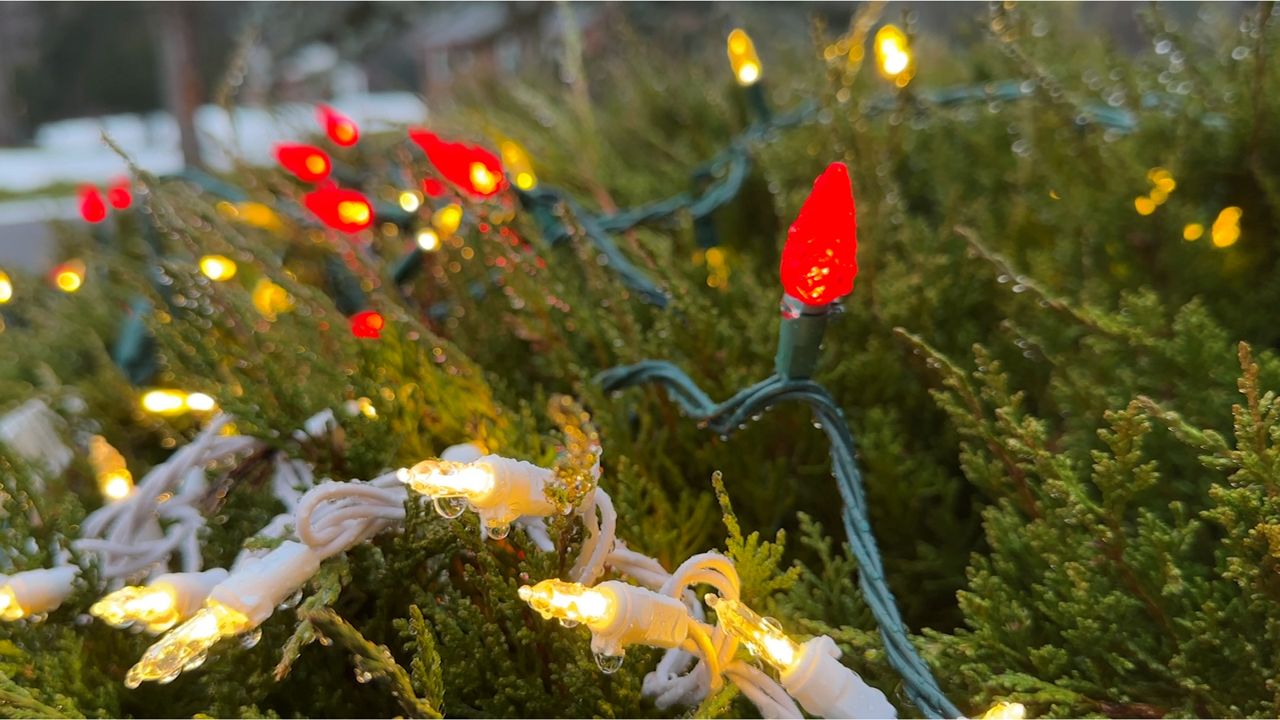 holiday lights lit up in red along shrubbery