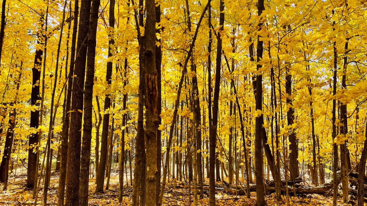 Your guide to fall hikes in Wisconsin