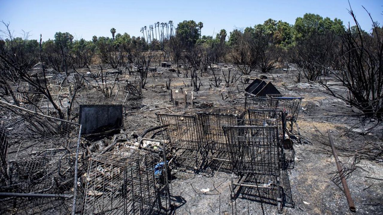 FILE - In this Wednesday, July 31, 2019, file photo, burned shopping carts are left behind after a fire in the Sepulveda Basin burned through brush and a homeless encampment in Van Nuys, Calif. (Sarah Reingewirtz/The Orange County Register via AP, File)