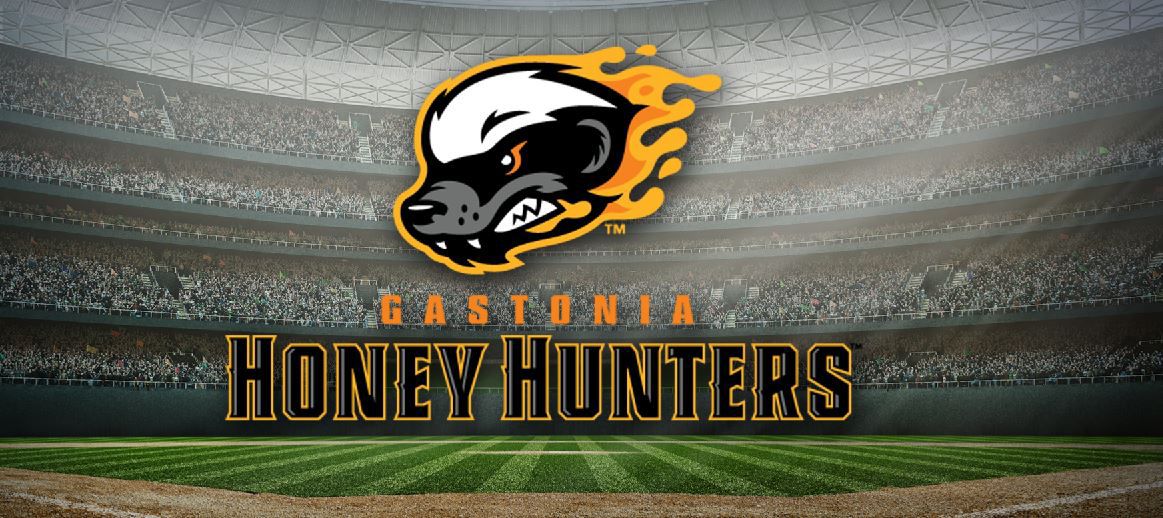 Gastonia Honey Hunters