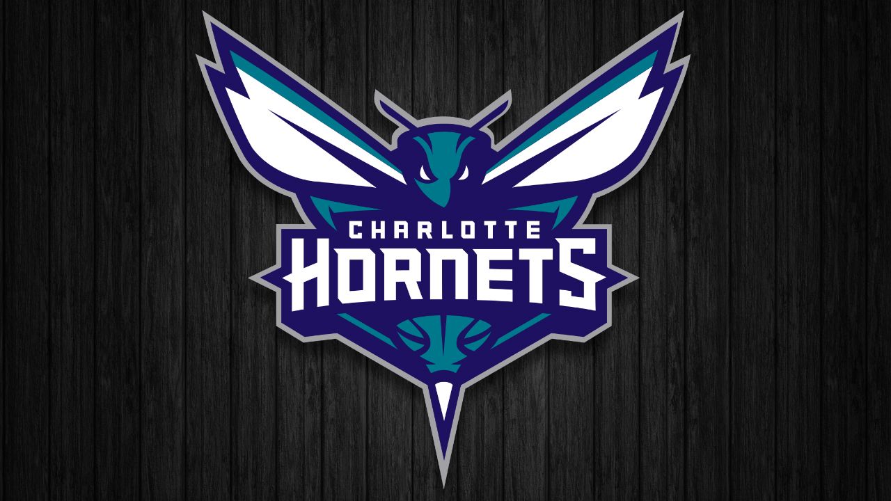 hornets