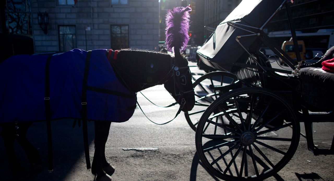 Horse carriage 