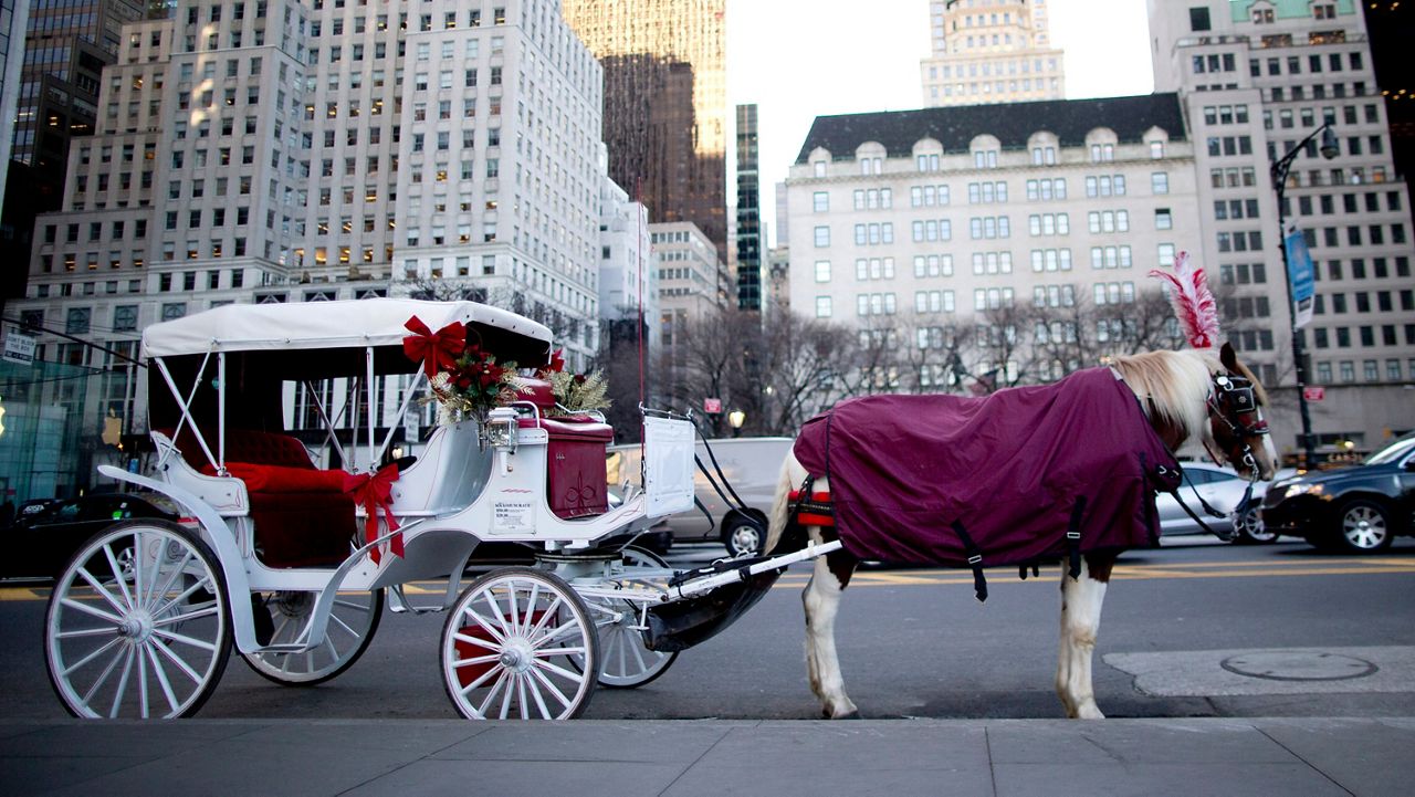 Council passes historic horse ban decades in the making