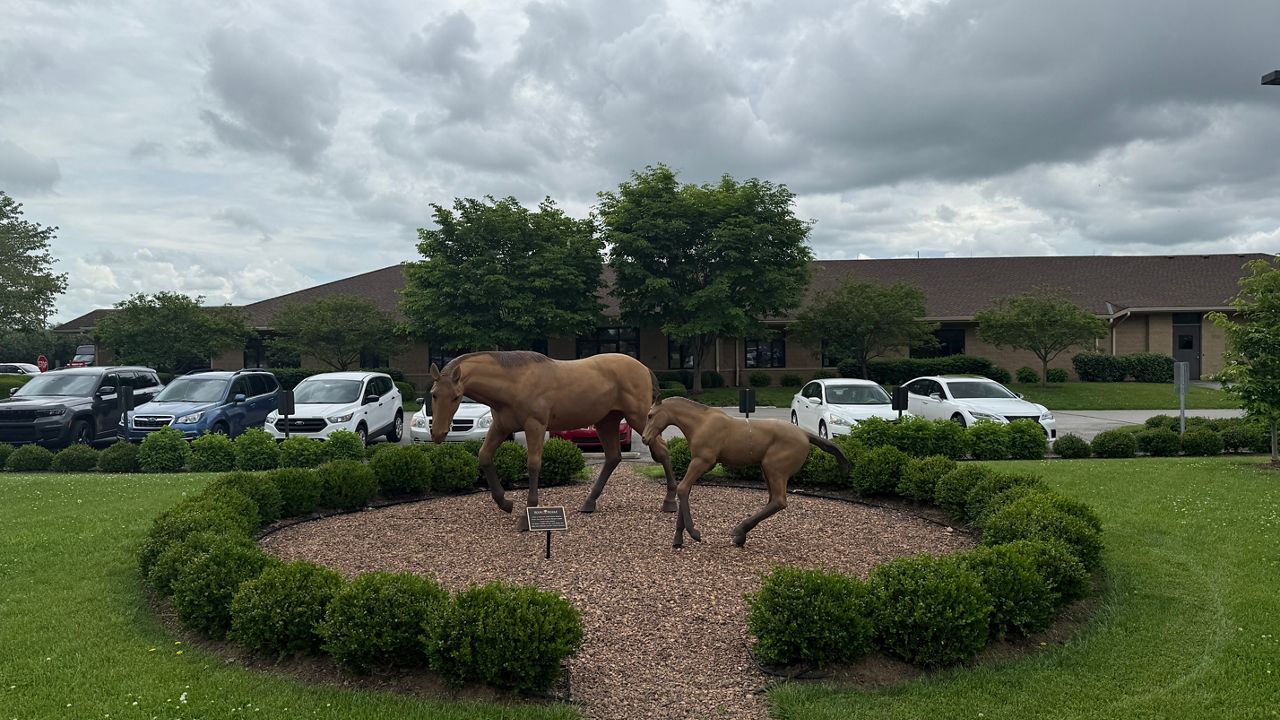 What happens when race horses are injured -- the recovery story of Sorcerer's Silver