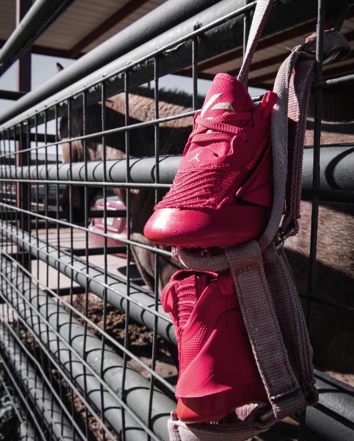 These Sneakers for Horses go for $1,200. Per Shoe - CNET