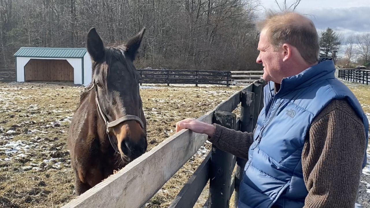 Bill steers casino revenues away from equine industry