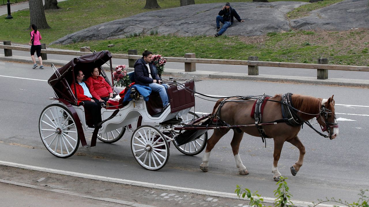 A horse-drawn carriage takes passengers for a ride around Central Park.