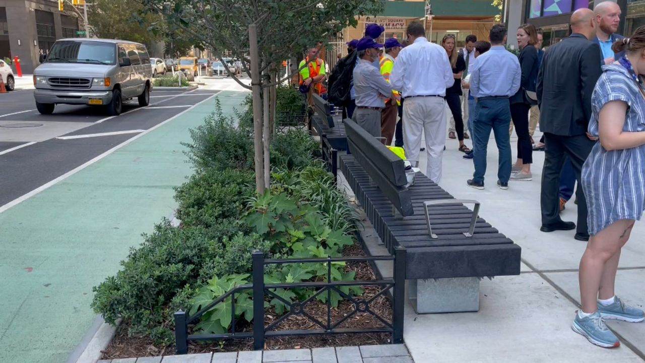 Preventing future flooding with trees