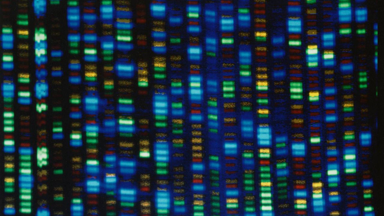 Scientists Finally Finish Decoding Entire Human Genome