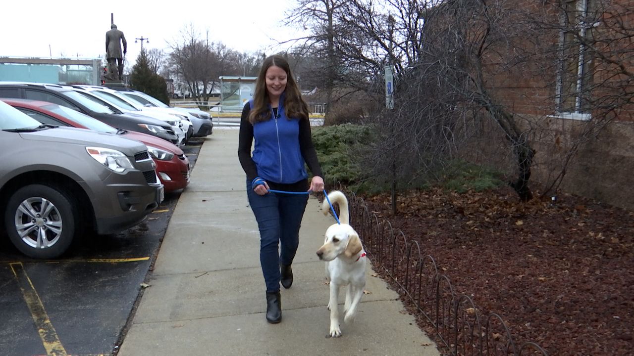 Wisconsin Humane Society 
