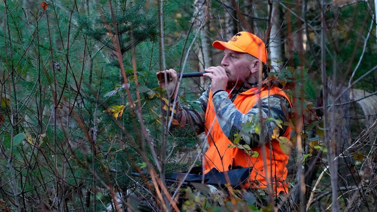  Jared Bornstein uses a call while attempting attract a buck while deer hunting Saturday, Nov. 11, in Turner. Some hunters are divided on the subject Sunday hunting. Some feel the laws protect private landowner rights, while others say the rules take away hunting opportunities or are just plain silly. (AP Photo/Robert F. Bukaty)
