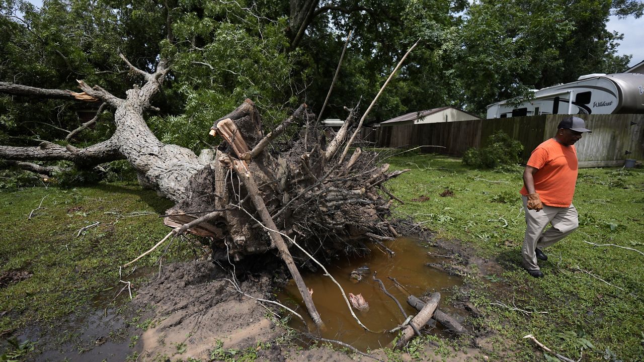 Desi Littleton assesses damages after a tree fell on his home after Hurricane Beryl hit the Texas coast, Monday, July 8, 2024, in Bay City, Texas. (AP Photo/Eric Gay)